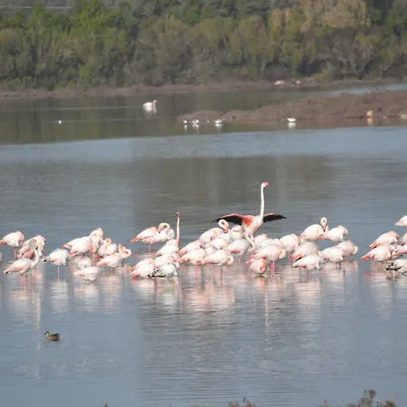 Dimora Tarantina Casa de hóspedes 3*