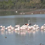 Dimora Tarantina בית הארחה 3*